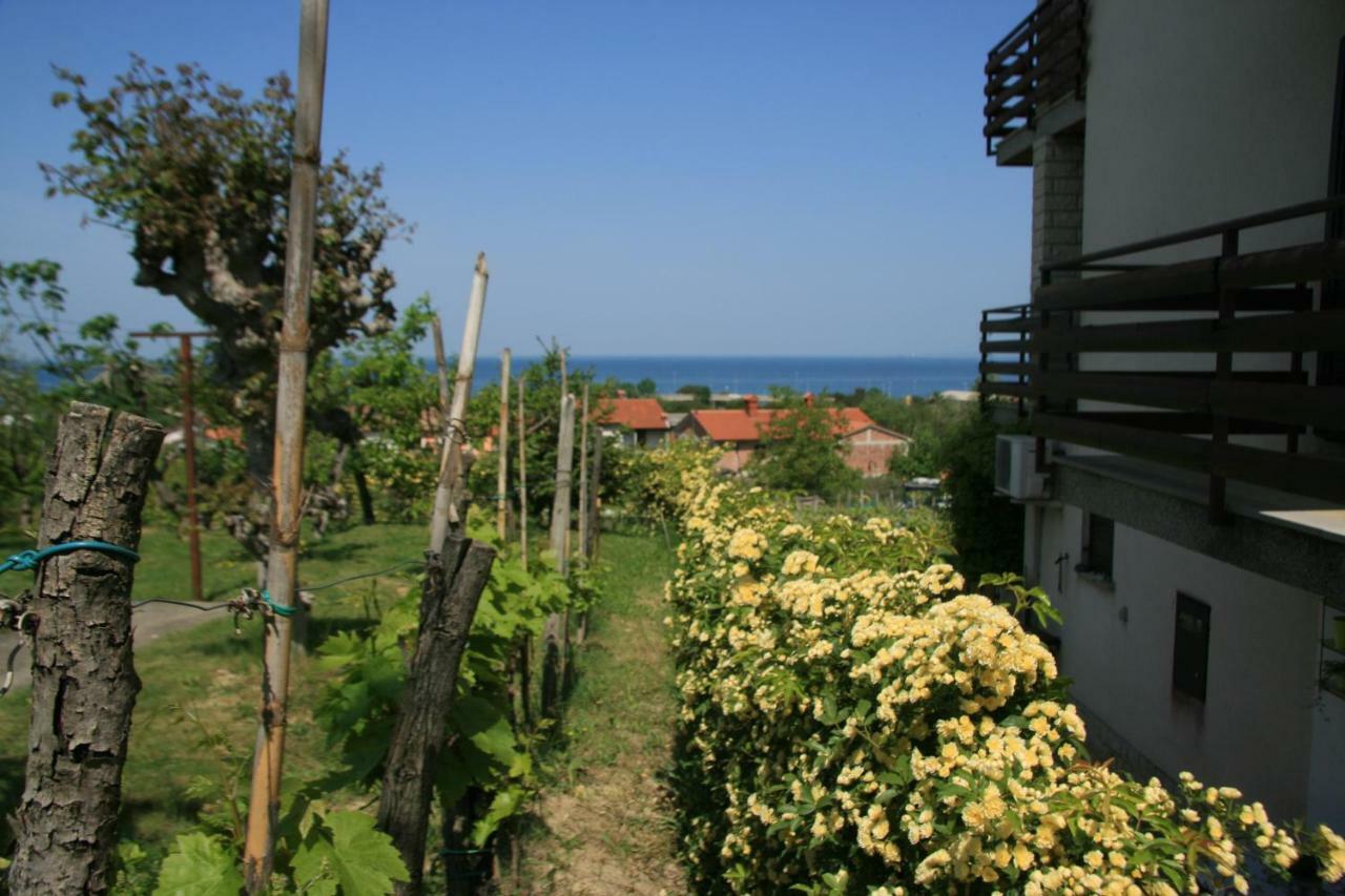 Apartma Tul Izola Εξωτερικό φωτογραφία