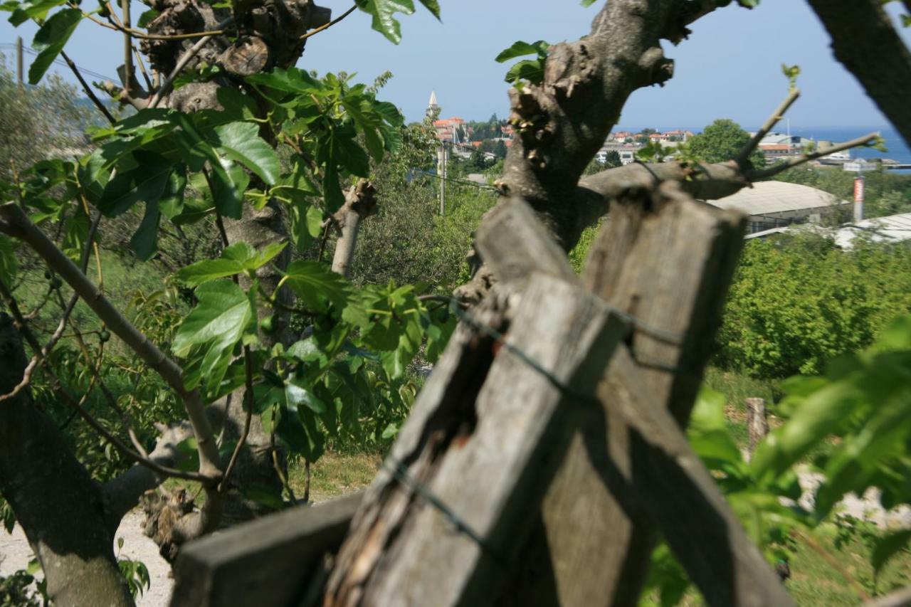 Apartma Tul Izola Εξωτερικό φωτογραφία